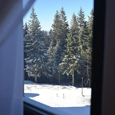 306 Daire Jahorina